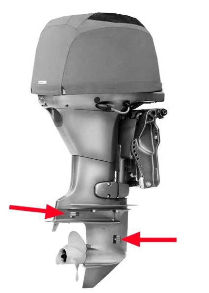 Figura ufficiale della domanda: Quale parte del motore fuoribordo in figura indicano le frecce?