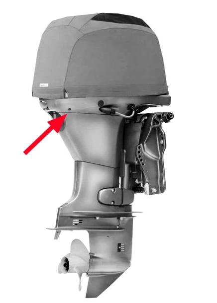Figura ufficiale della domanda: Quale parte del motore fuoribordo in figura indica le freccia?