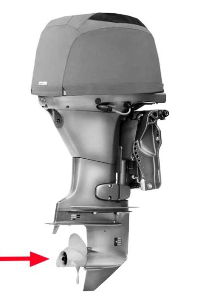 Figura ufficiale della domanda: Quale parte del motore fuoribordo in figura indica le freccia?